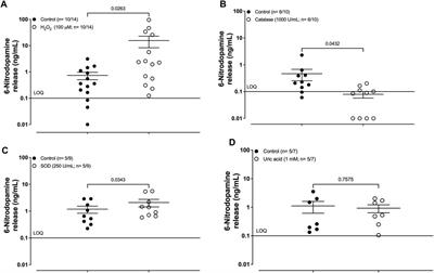 GKT137831 and hydrogen peroxide increase the release of 6-nitrodopamine from the human umbilical artery, rat-isolated right atrium, and rat-isolated vas deferens
